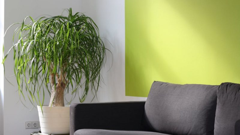 Сплит-система 07HN1: Обзор и характеристики модели